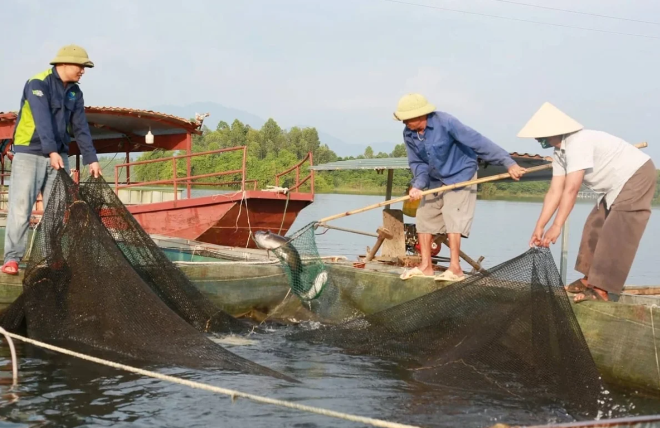 Lao Cai strengthens aquaculture monitoring to enable early disease warnings